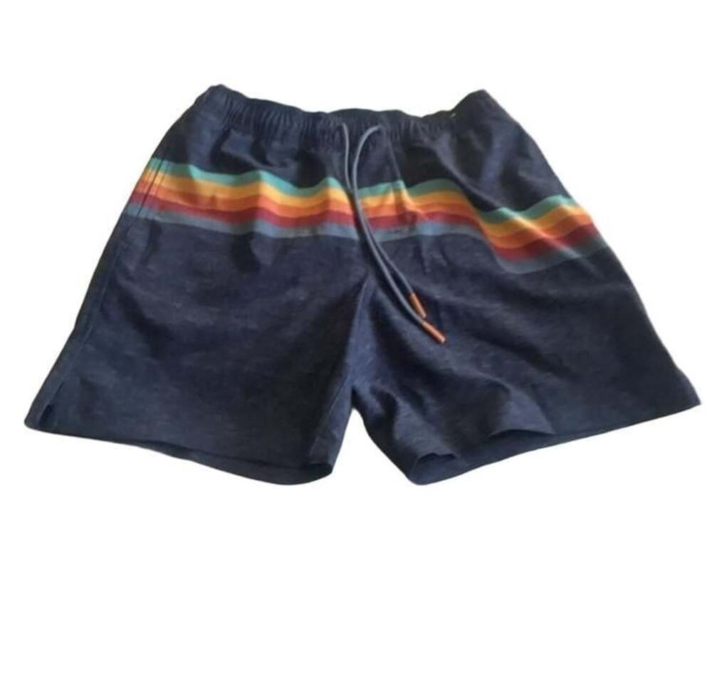 Rowm Swimwear Men's Blue Rainbow Striped Swim Trunks Size Medium